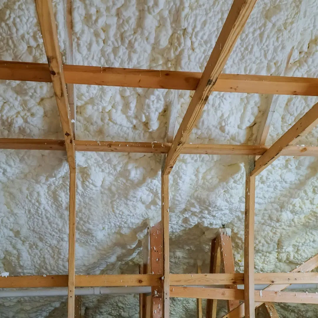 attic insulation removal ottawa